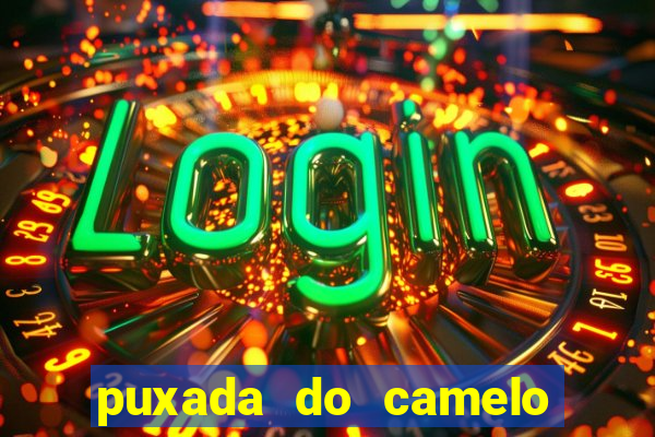 puxada do camelo jogo do bicho